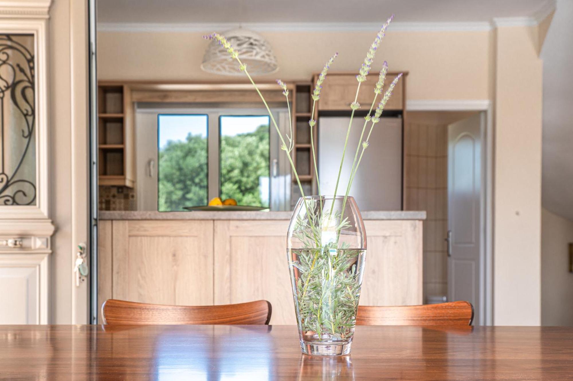 Armonia Villas 里科索翁 外观 照片